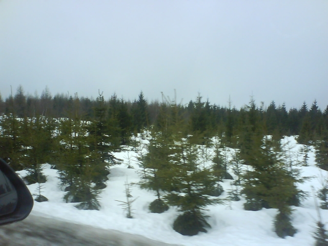 WinterI